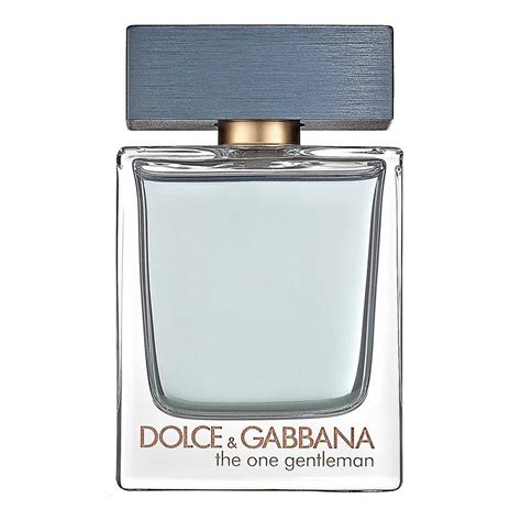 dolce gabbana the one gentleman review|d&g the one notes.